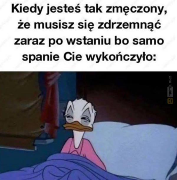 Śmieszny mem: 7419939 - MemLand