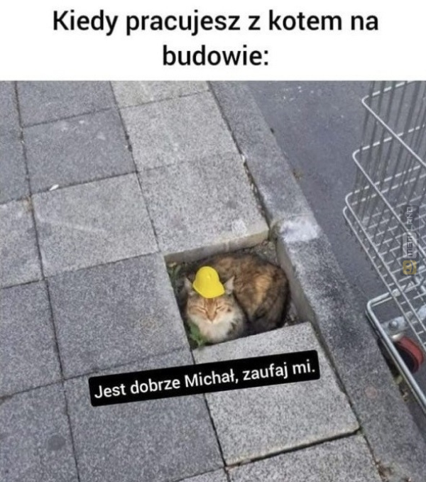 Śmieszny mem: 7422052 - MemLand