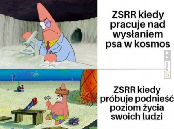 Śmieszny mem: 7428869 - MemLand