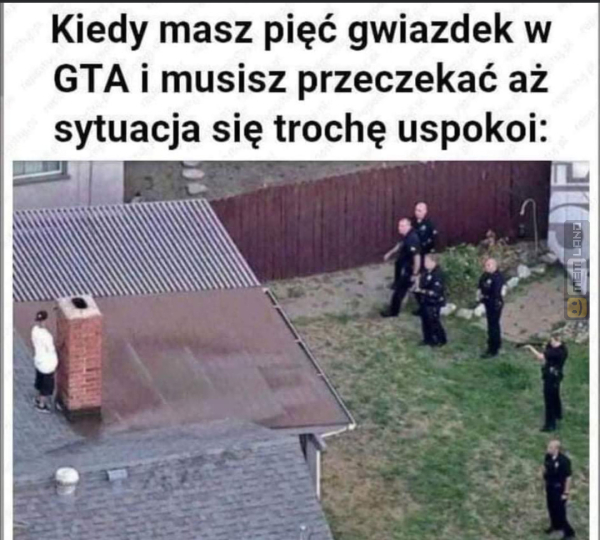 Śmieszny mem: 7437497 - MemLand