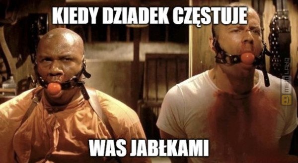 Śmieszny mem: 7441997 - MemLand