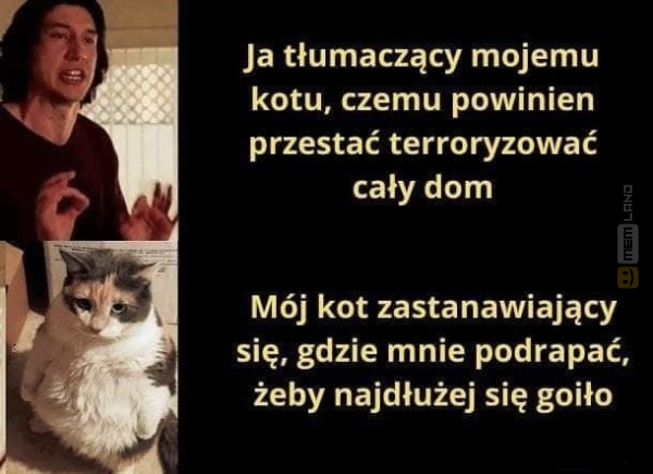 Śmieszny mem: 7445220 - MemLand