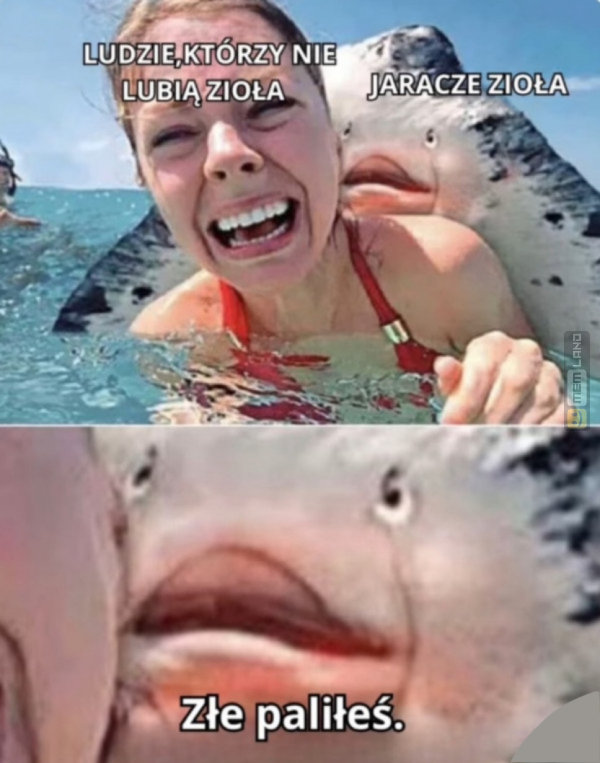 Śmieszny mem: 7447031 - MemLand