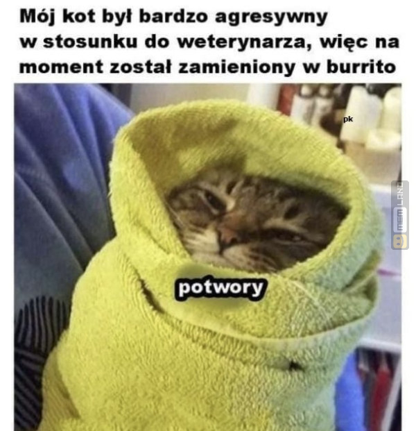 Śmieszny mem: 7447553 - MemLand