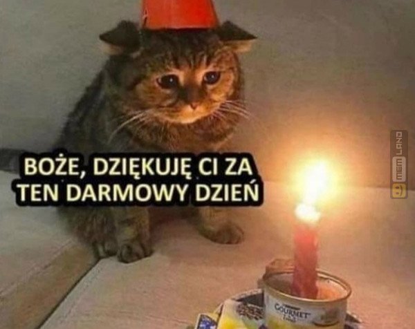 Śmieszny mem: 7449084 - MemLand