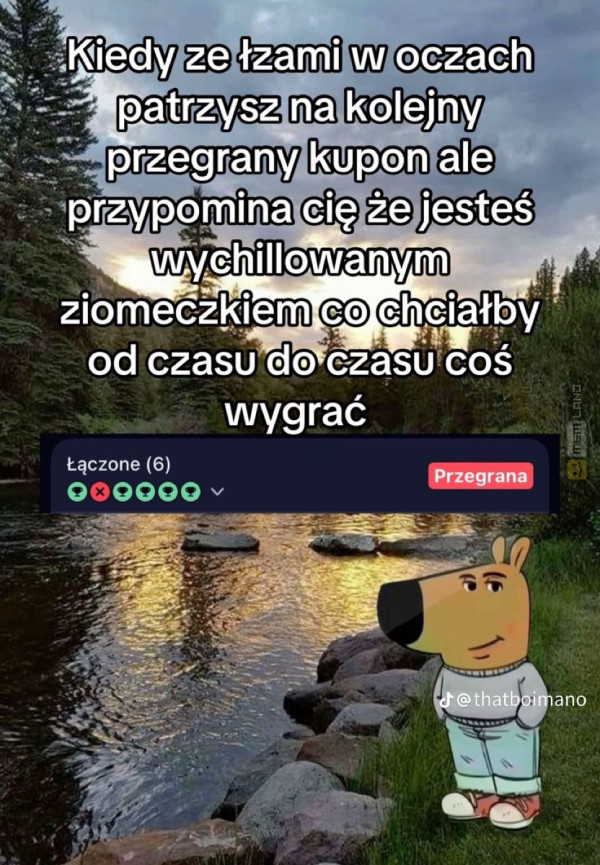 Śmieszny mem: 7454197 - MemLand