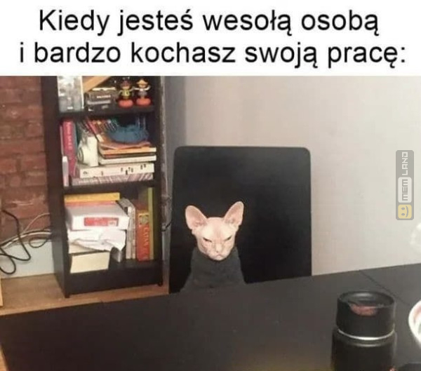 Śmieszny mem: 7458151 - MemLand