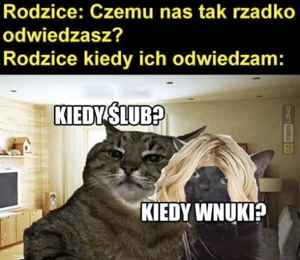 Śmieszny mem: 7462601 - MemLand