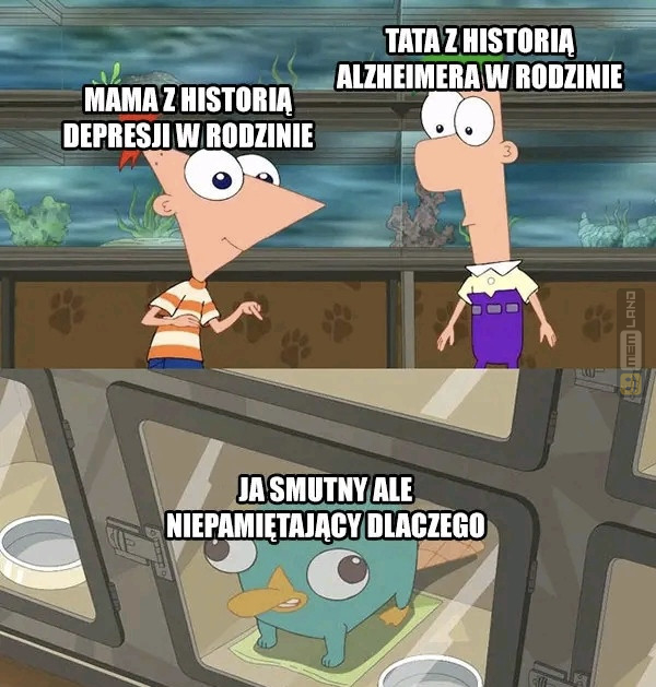 Śmieszny mem: 7465999 - MemLand