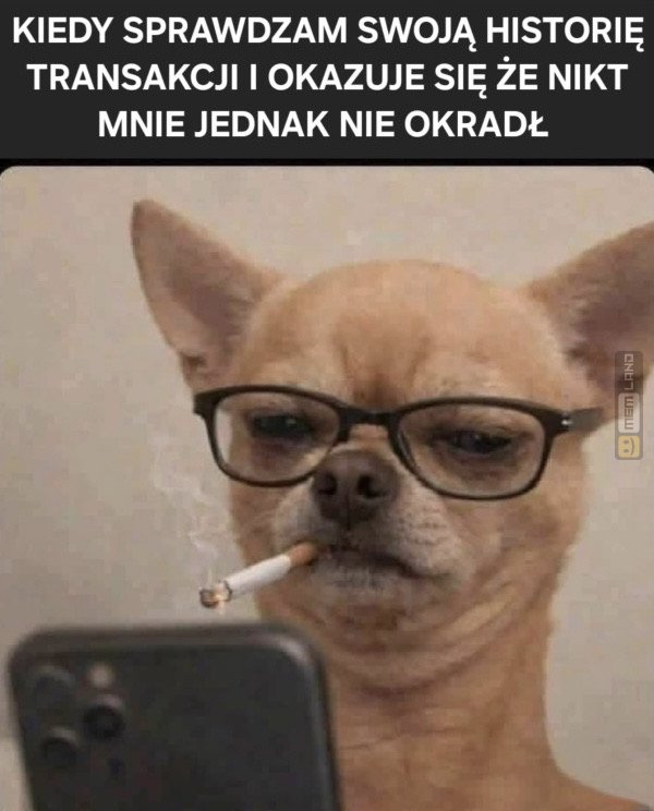 Śmieszny mem: 7468452 - MemLand