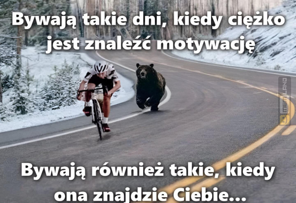 Śmieszny mem: 7482425 - MemLand