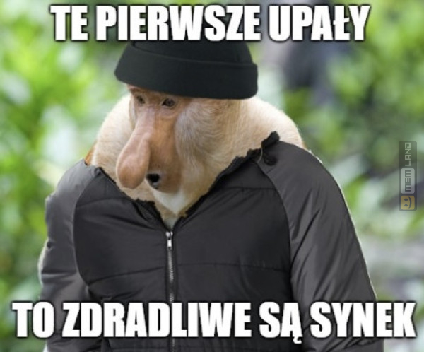 Śmieszny mem: 7483636 - MemLand