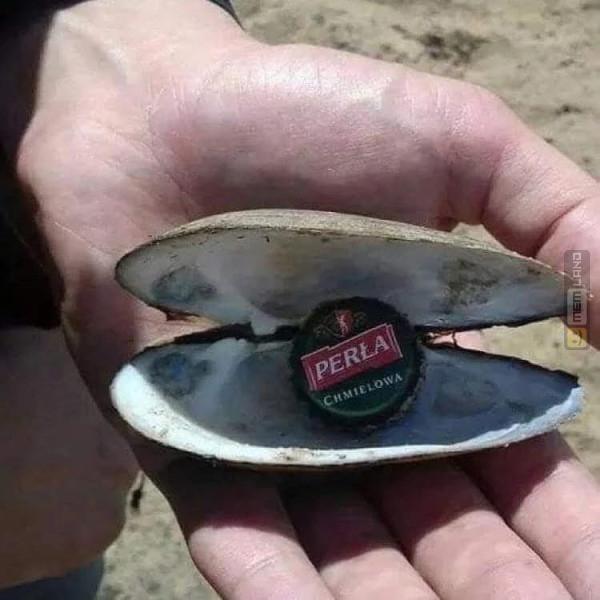 Śmieszny mem: 7485863 - MemLand