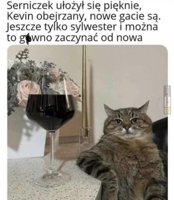 Śmieszny mem: 7486186 - MemLand