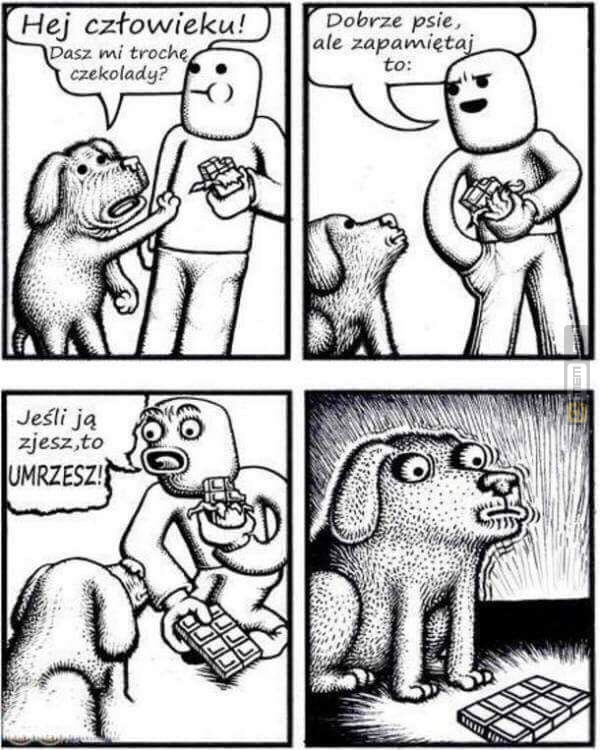 Śmieszny mem: 7490536 - MemLand