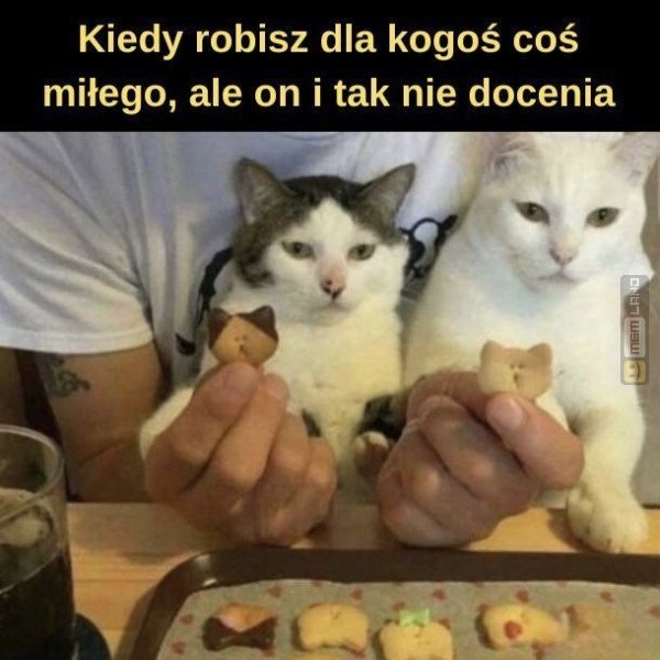 Śmieszny mem: 7491075 - MemLand