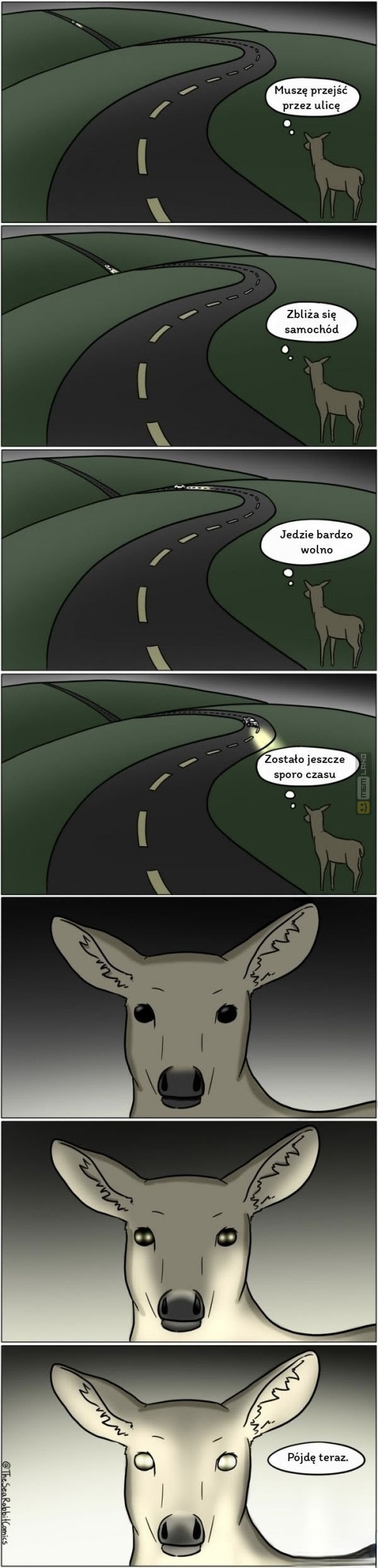 Śmieszny mem: 7491352 - MemLand