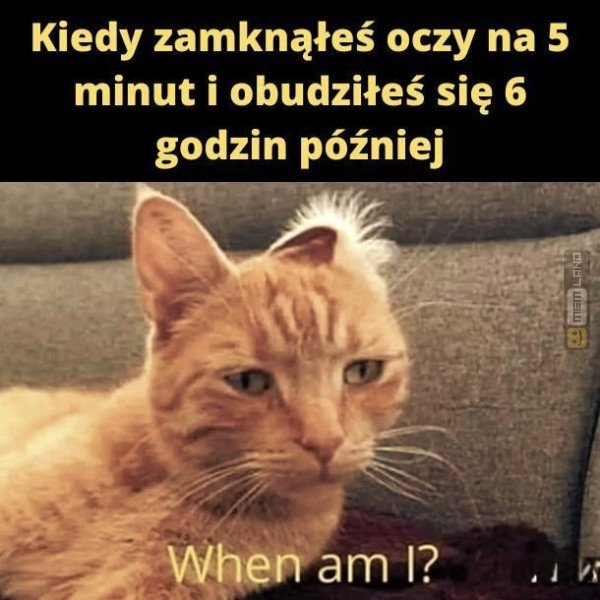Śmieszny mem: 7496391 - MemLand