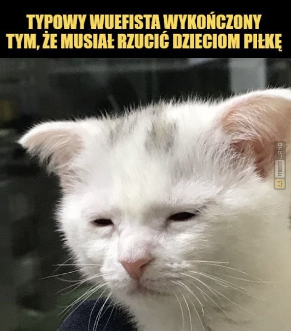 Śmieszny mem: 7498087 - MemLand