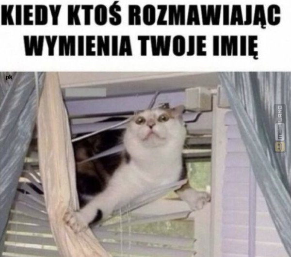 Śmieszny mem: 7510232 - MemLand