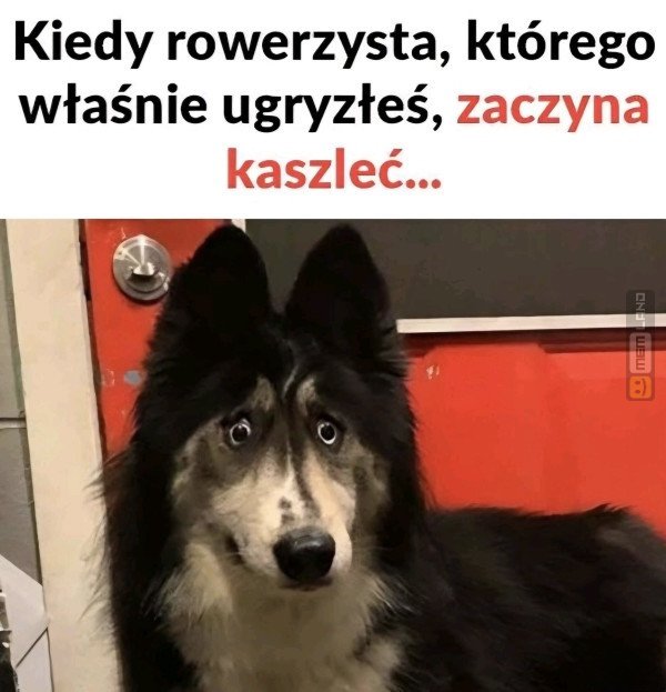 Śmieszny mem: 7510743 - MemLand