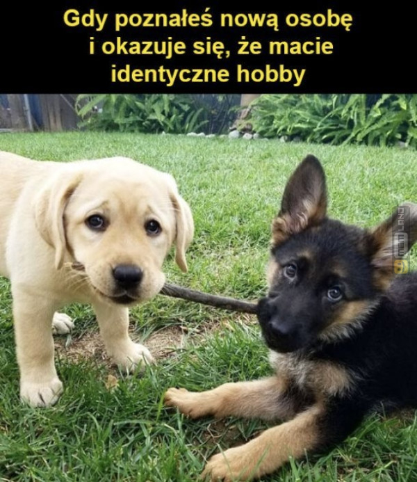 Śmieszny mem: 7516211 - MemLand