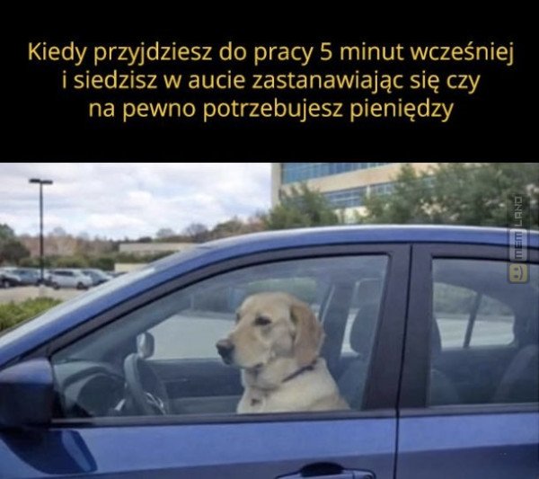Śmieszny mem: 7516675 - MemLand