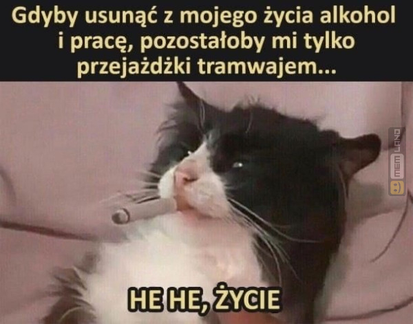 Śmieszny mem: 7516899 - MemLand