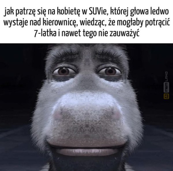 Śmieszny mem: 7517954 - MemLand