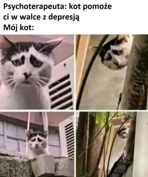 Śmieszny mem: 7518712 - MemLand