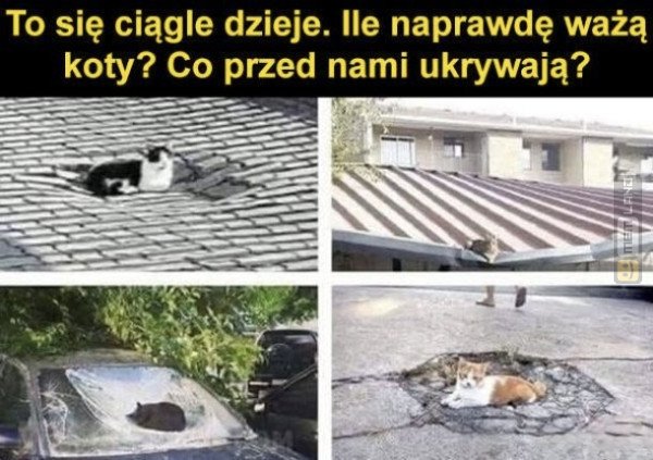 Śmieszny mem: 7522251 - MemLand