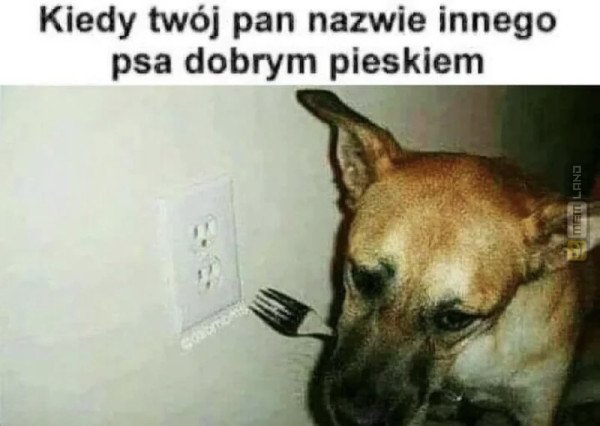 Śmieszny mem: 7524483 - MemLand