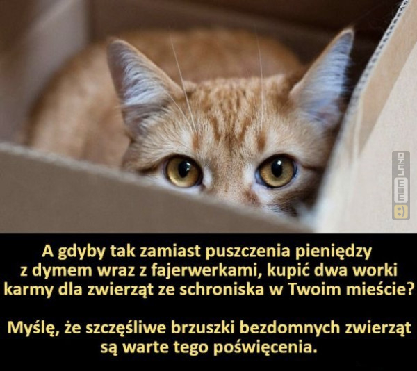 Śmieszny mem: 7537384 - MemLand