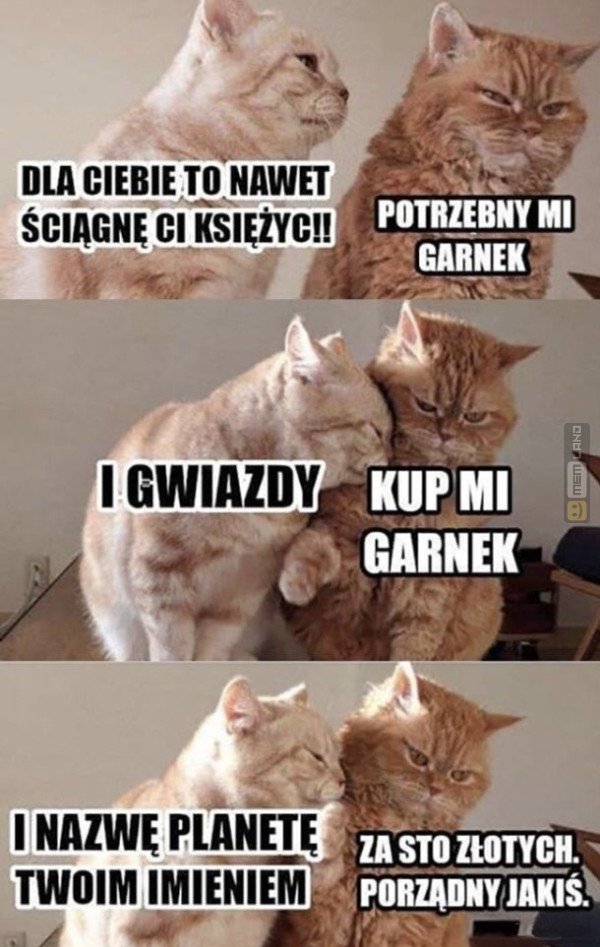 Śmieszny mem: 7539904 - MemLand