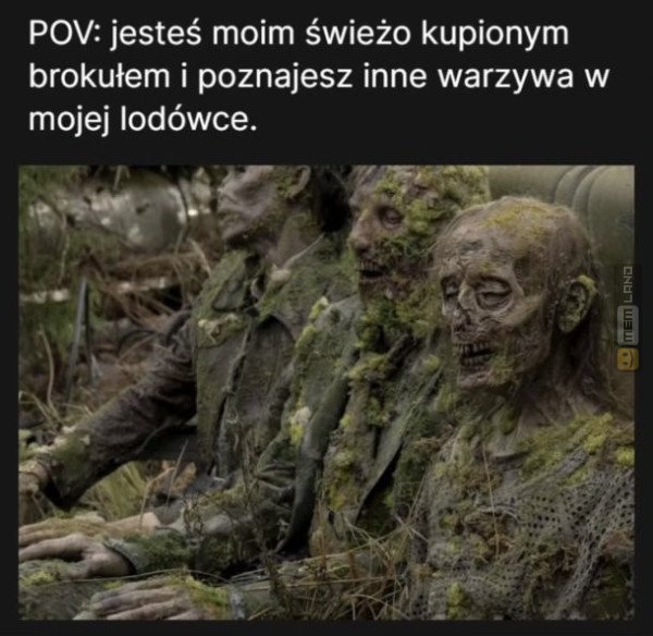 Śmieszny mem: 7540687 - MemLand