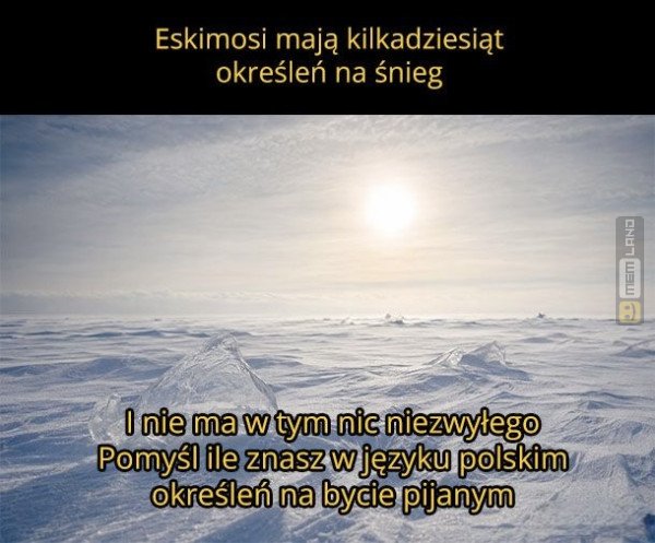 Śmieszny mem: 7544176 - MemLand