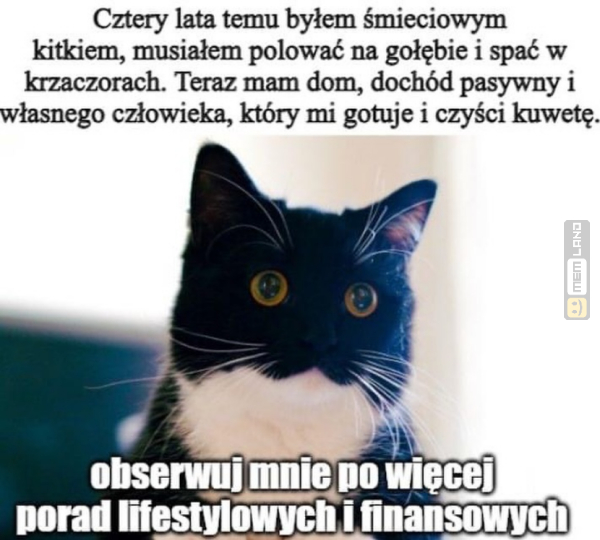 Śmieszny mem: 7545289 - MemLand