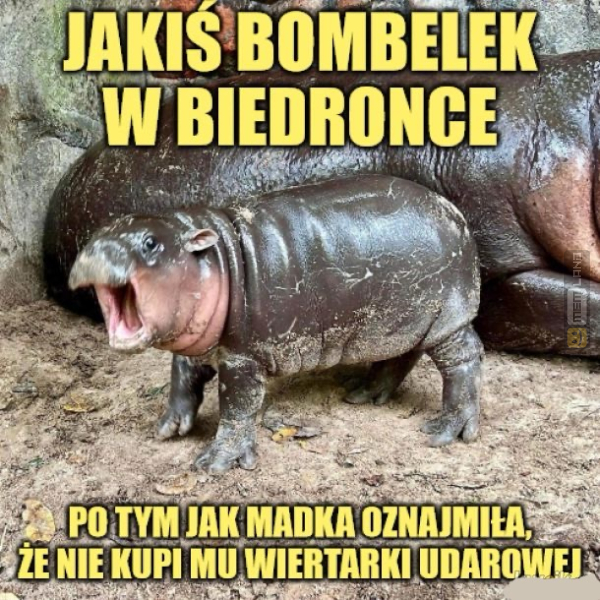 Śmieszny mem: 7546038 - MemLand