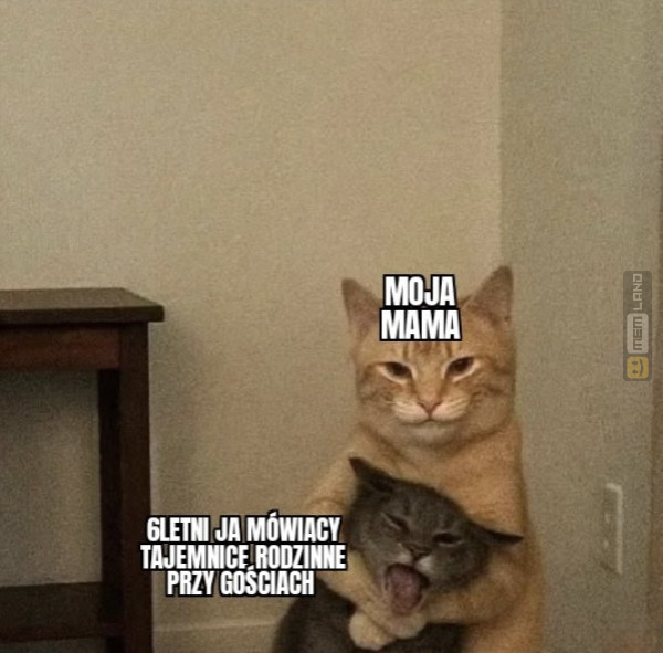 Śmieszny mem: 7549581 - MemLand