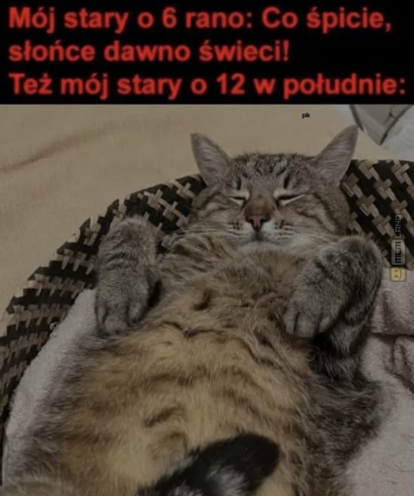 Śmieszny mem: 7553107 - MemLand