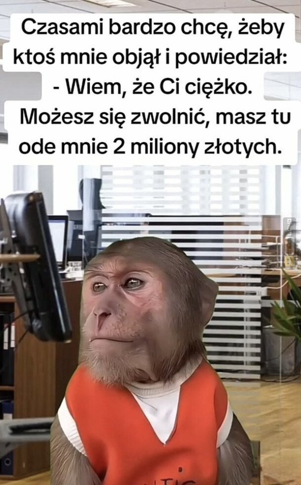 Śmieszny mem: 7556697 - MemLand