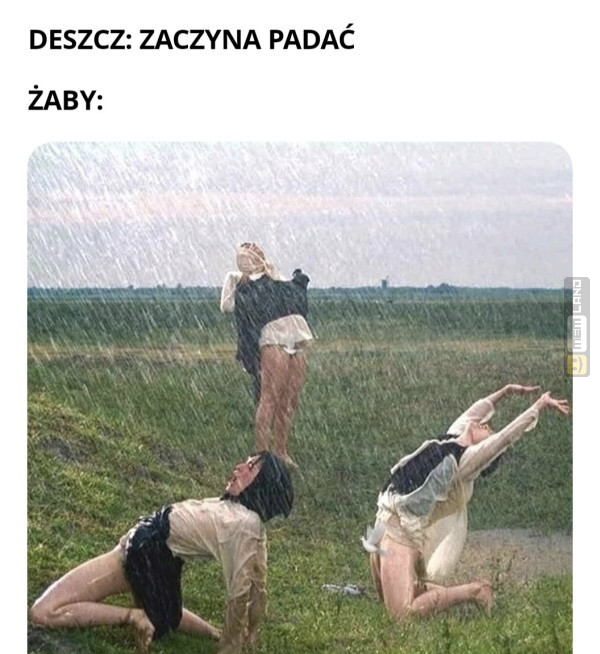 Śmieszny mem: 7561713 - MemLand