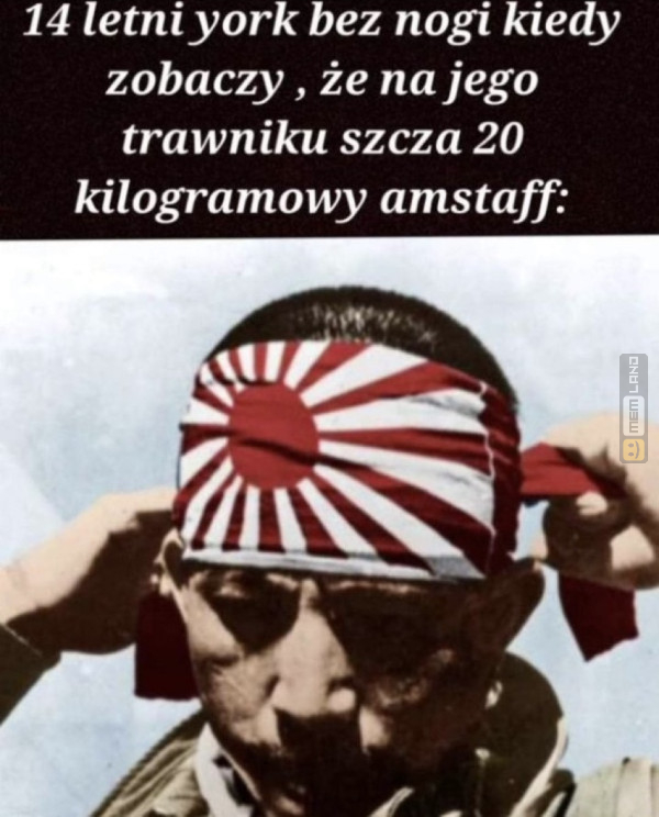 Śmieszny mem: 7564085 - MemLand