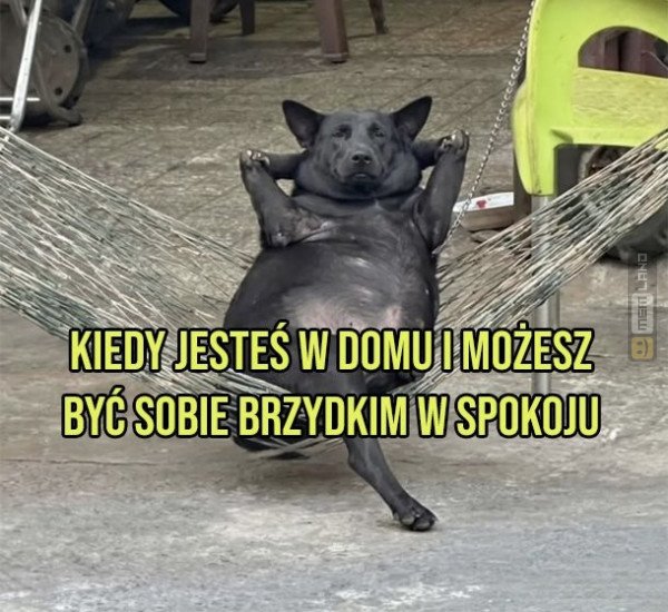 Śmieszny mem: 7564679 - MemLand