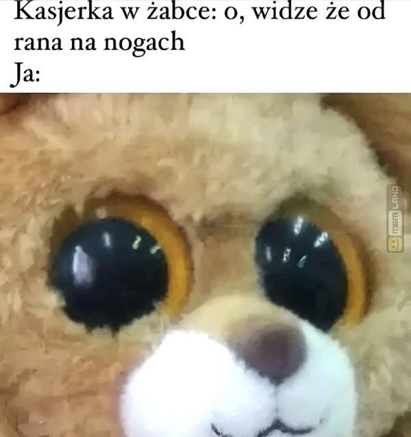 Śmieszny mem: 7567437 - MemLand