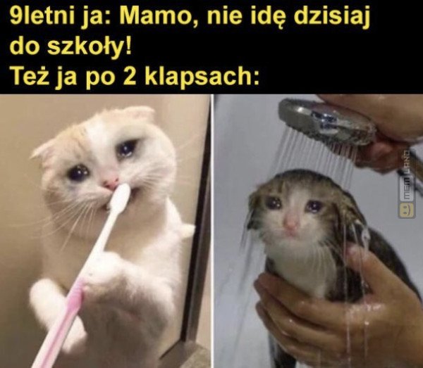 Śmieszny mem: 7571850 - MemLand