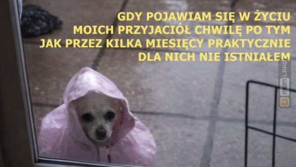 Śmieszny mem: 7585045 - MemLand