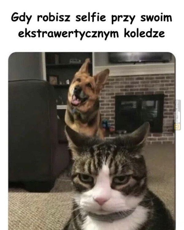 Śmieszny mem: 7585454 - MemLand