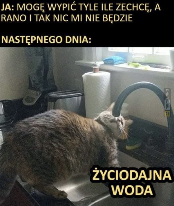 Śmieszny mem: 7586076 - MemLand