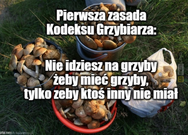 Śmieszny mem: 7593890 - MemLand